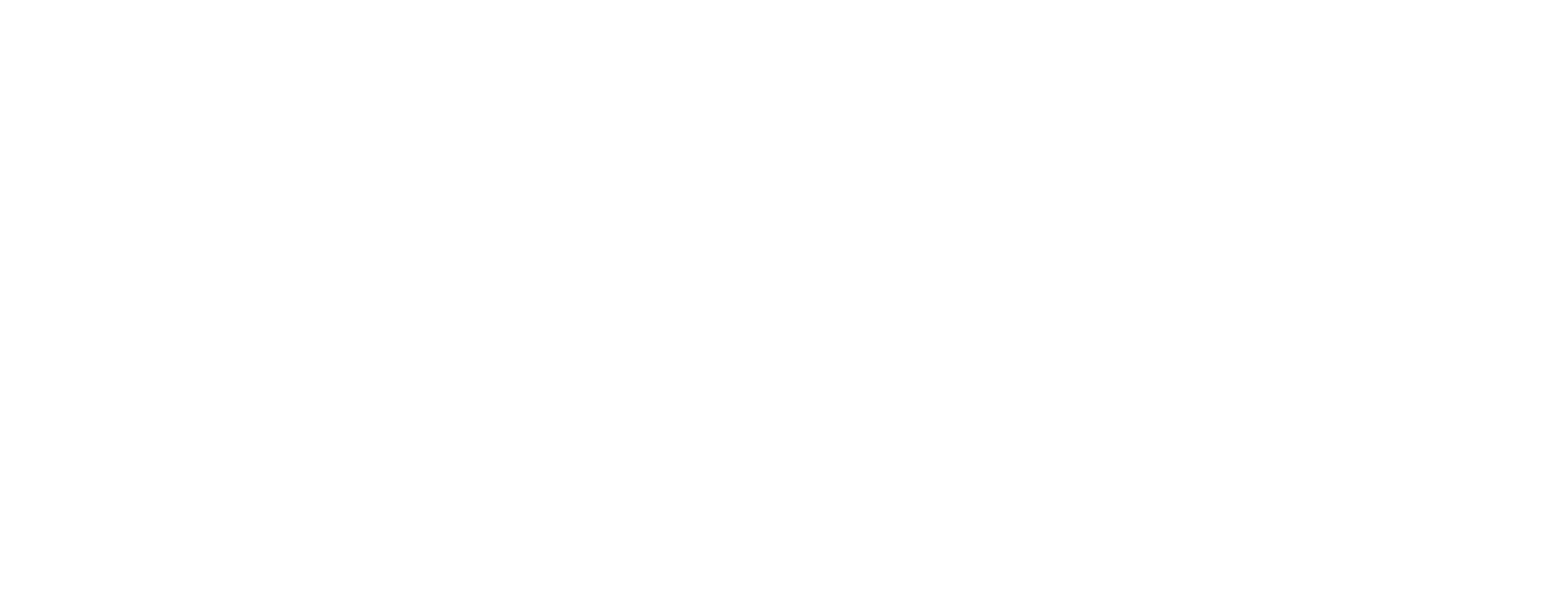 Sport Endorse Logo